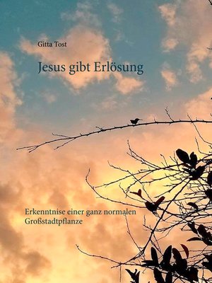 cover image of Jesus gibt  Erlösung